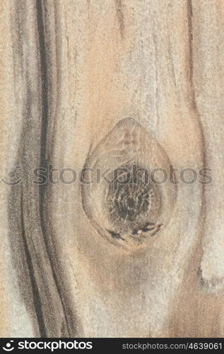 Details of a rustic wood grain for wallpaper