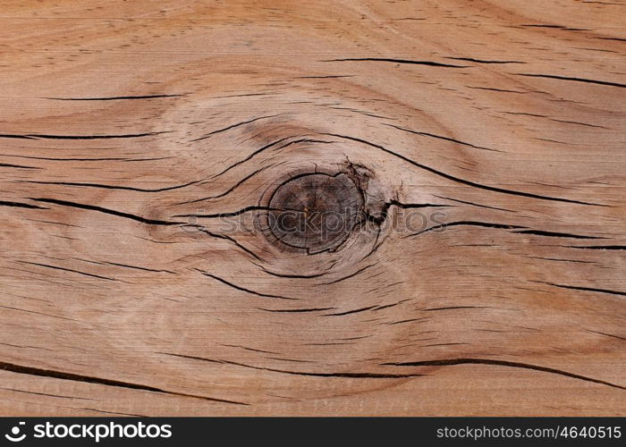 Details of a rustic wood grain for wallpaper