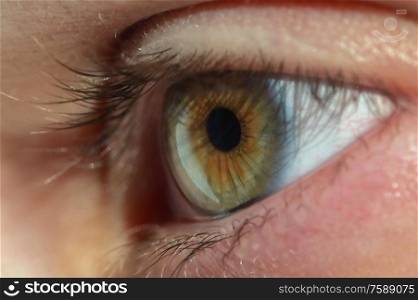 Details of Human Eye Macro View