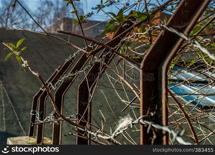 Details of iron fence, stone wall and trees Suitable for making background images