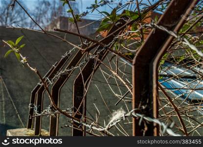 Details of iron fence, stone wall and trees Suitable for making background images
