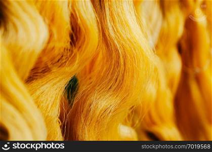 Details of natural yellow silk thread, traditional sericulture Thai silk making in Countryside, Thailand