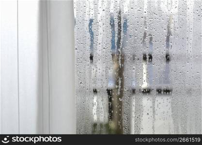 Dew Drops on Window