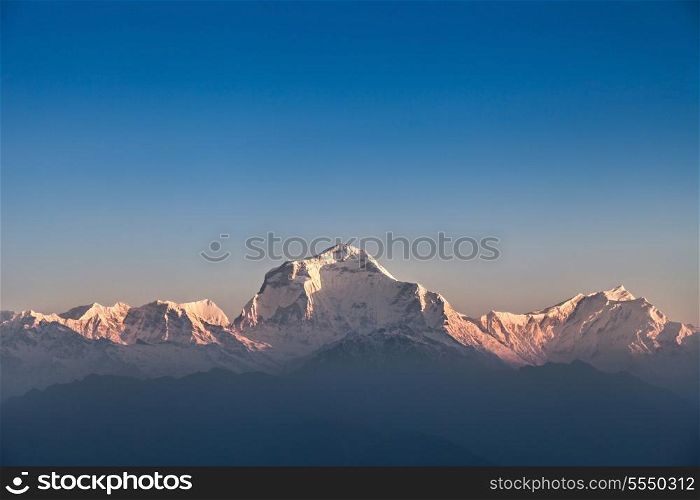 Dhaulagiri mountain on sunrise, Poon Hill, Himalaya Nepal