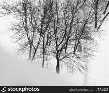 Diagonal black and white winter windowsill with trees background. Diagonal black and white winter windowsill with trees background hd