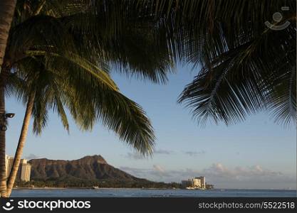 Diamond Head viewed through Palm trees, Waikiki, Honolulu, Oahu, Hawaii, USA