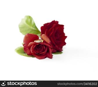 Diamond ring resting on red roses on white background