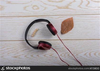 Dice-sized alphabet cubes spelling music, dried leaf and red headphones on wooden background