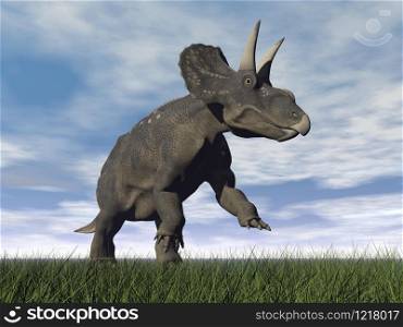 Diceratops dinosaur running on the green grass with mouth open by cloudy day. Diceratops dinosaur - 3D render