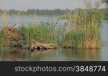 Die Havel: Fluss-und Seenlandschaft