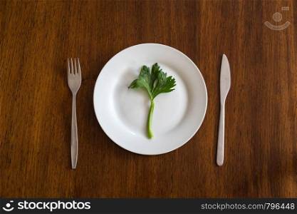 diet concept. one green vegetable on an empty white plate, celery on wood table healthy top view. diet concept. one green vegetable on an empty white plate with woman hands celery on wood table healthy