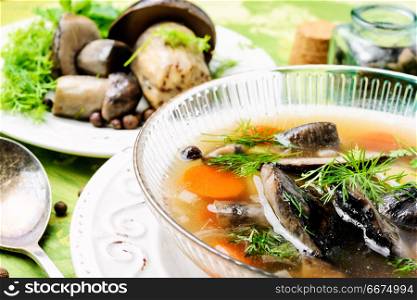 Diet vegetarian soup with forest mushrooms in bowl. Soup with porcini mushroom. Soup with porcini mushroom