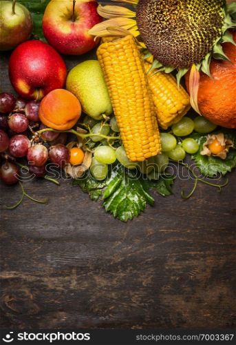 Different autumn harvest fruits with a sunflower and ear of corn on a wooden background, close up,top view,frame