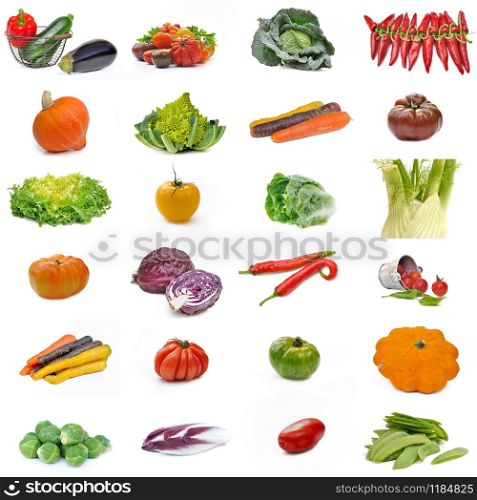 different collection of vegetables isolated on white background