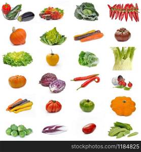 different collection of vegetables isolated on white background
