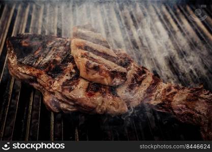 different cuts of excellent quality beef grilled