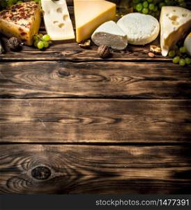 Different flavored cheeses with walnuts and white grapes .. Different flavored cheeses with walnuts and white grapes.