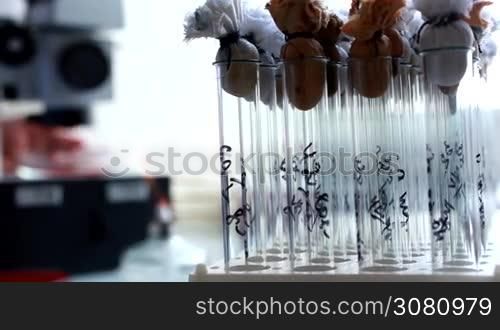 Different frames on medical subjects filmed in medical laboratories. Equipment, tests, experiments