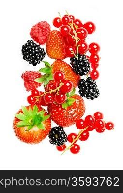 Different fresh berries on a white background