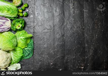 Different fresh cabbage. On rustic background. Different fresh cabbage.