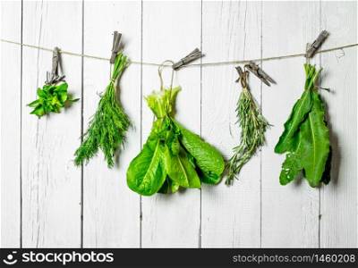 Different herbs on a string. On white wooden wall.. Different herbs on a string.