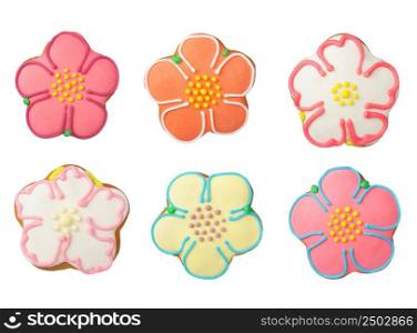 Different homemade cookies with icing isolated on white