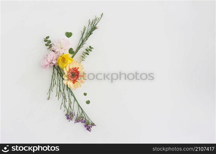 different kind flowers white background