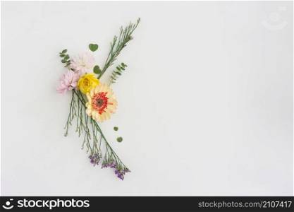 different kind flowers white background