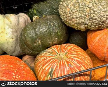Different kinds of pumpkins displayed in a basket at the market.