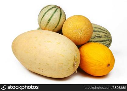 different melon isolated on white