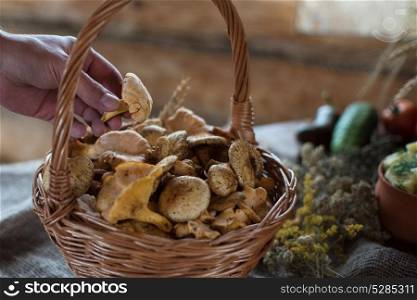 Different mushrooms in basket. Different mushrooms in the basket
