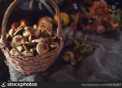 Different mushrooms in basket. Different mushrooms in the basket