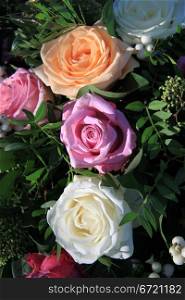 Different roses in pastel shades in the sunlight