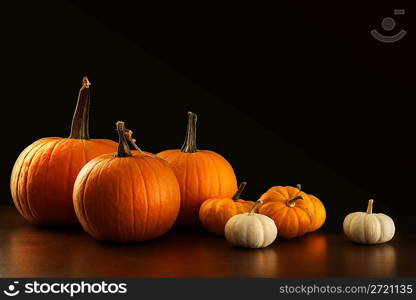 Different sized pumpkins and gourds on dark