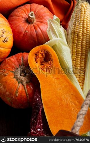 different species of pumkin and corn harvest. healthy life concept
