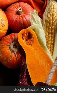 different species of pumkin and corn harvest. healthy life concept
