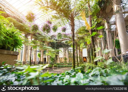 Different trees and plants in the botanical garden with glassed roof.