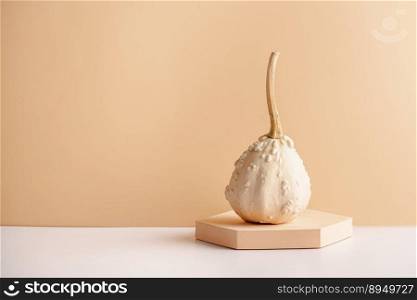 Different types of decorative pumpkins on the geometrical podium. Organic concept. Modern aesthetic. mockup with copy space. Natural tones.. Different types of pumpkins