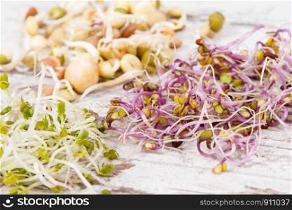 Different types of healthy sprouts containing natural vitamins and minerals. Different types of healthy sprouts containing vitamins and minerals
