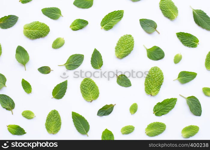 Different types of mint on white background