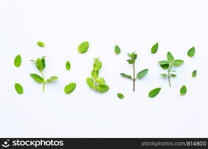 Different types of mint on white background