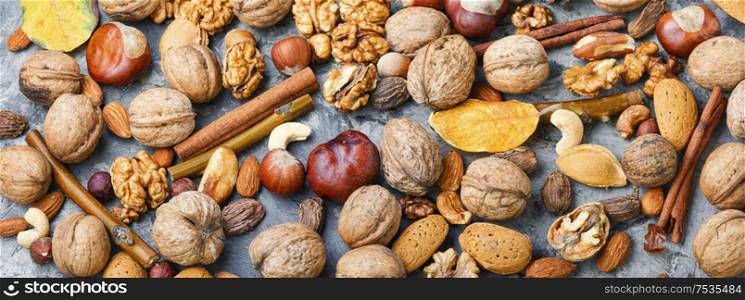 Different types of nuts.Nuts set for healthy diet.Nuts background. Background of mixed nuts