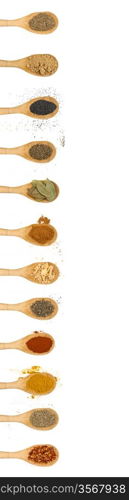 different types of spices isolated on white background