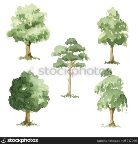 Different types of trees. Watercolor illustrations.
