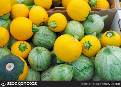 Different variaties of summer squash in boxes for sales at the farmers market. Green And Yellow Squash