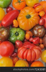 differents varieties of colorful tomatoes forming a background