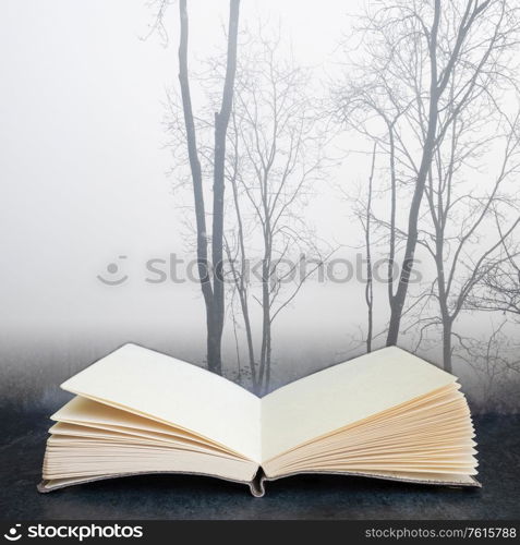 Digital composite concept image of open book wth Dramatic moody foggy forest landscape Spring Autumn Fall