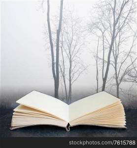 Digital composite concept image of open book wth Dramatic moody foggy forest landscape Spring Autumn Fall
