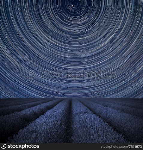 Digital composite image of star trails around Polaris with Beautiful image of lavender field landscape