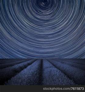 Digital composite image of star trails around Polaris with Beautiful image of lavender field landscape